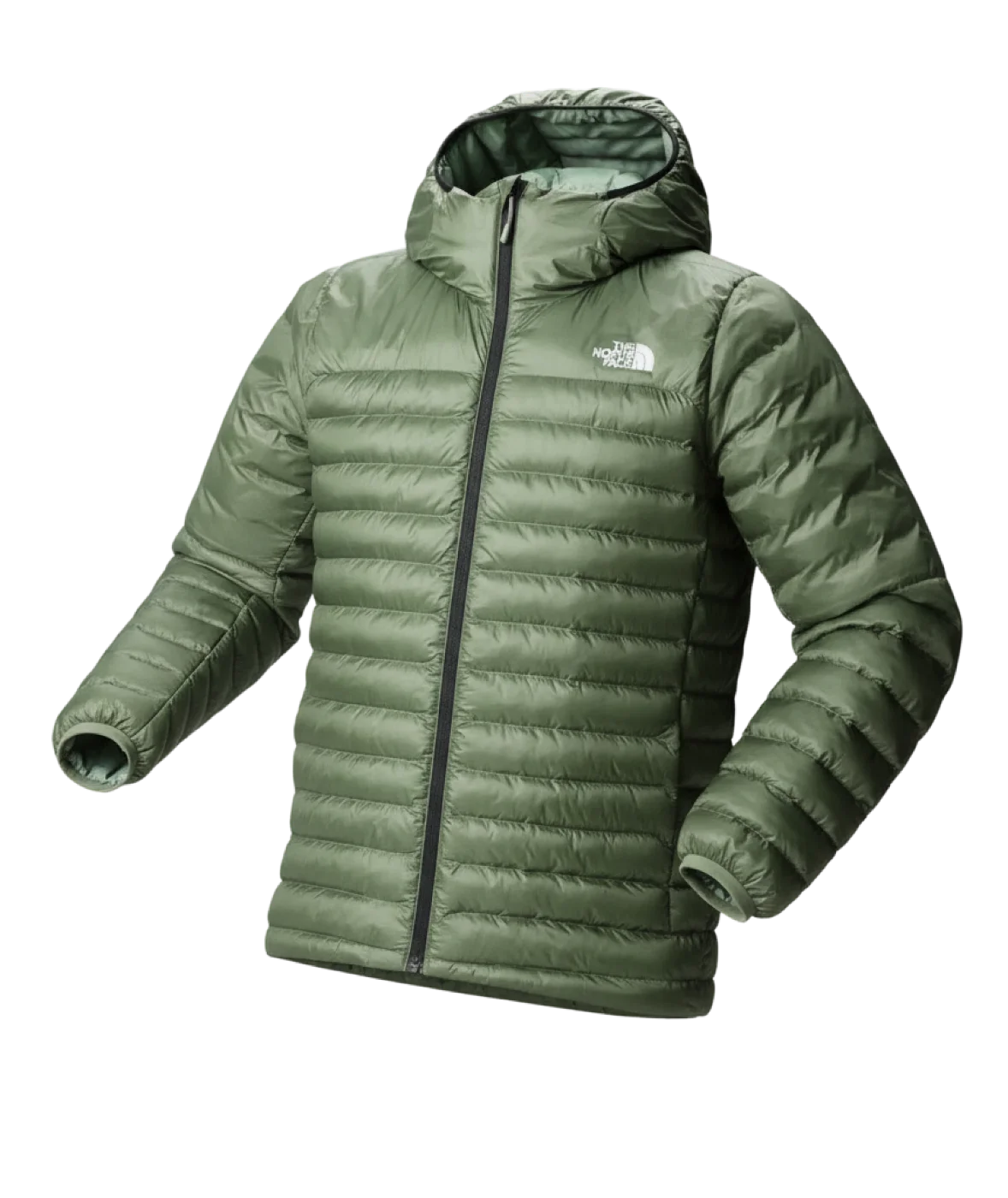 Chaqueta North Face Nacional Verde Hombre