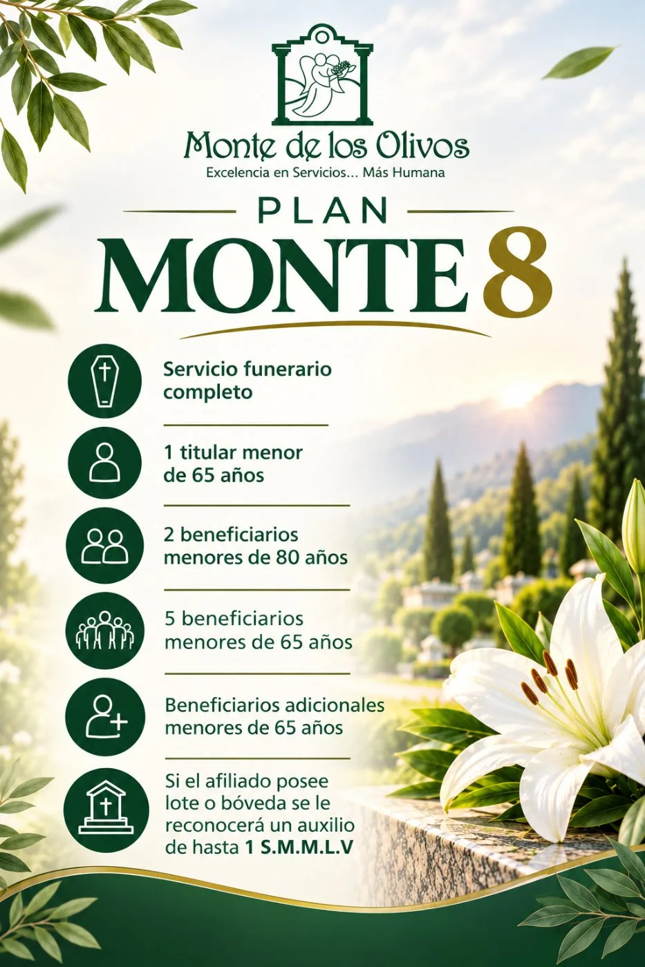 Plan Monte 8 · Monte de los Olivos Pasto